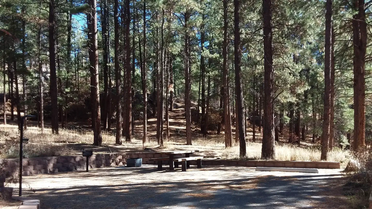 SAN ANTONIO CAMPGROUND photo