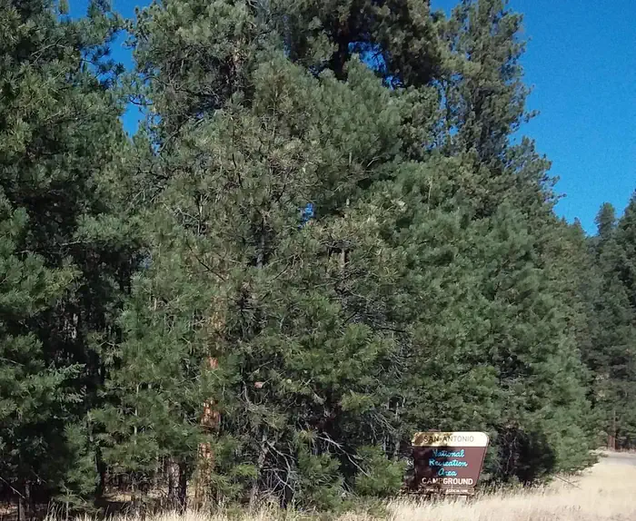 SAN ANTONIO CAMPGROUND photo 3