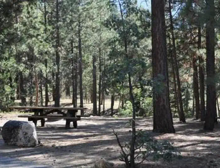 SAN GORGONIO photo