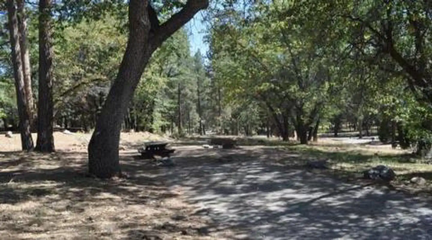 SAN GORGONIO photo 2