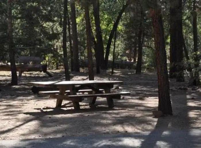 SAN GORGONIO photo 5