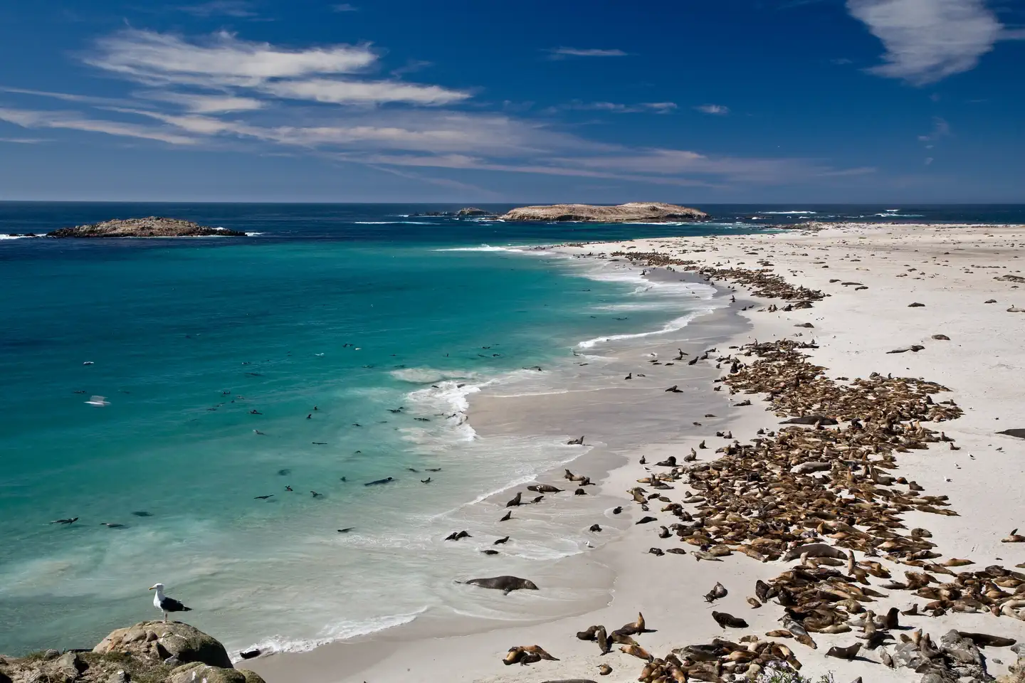 SAN MIGUEL ISLAND photo 2