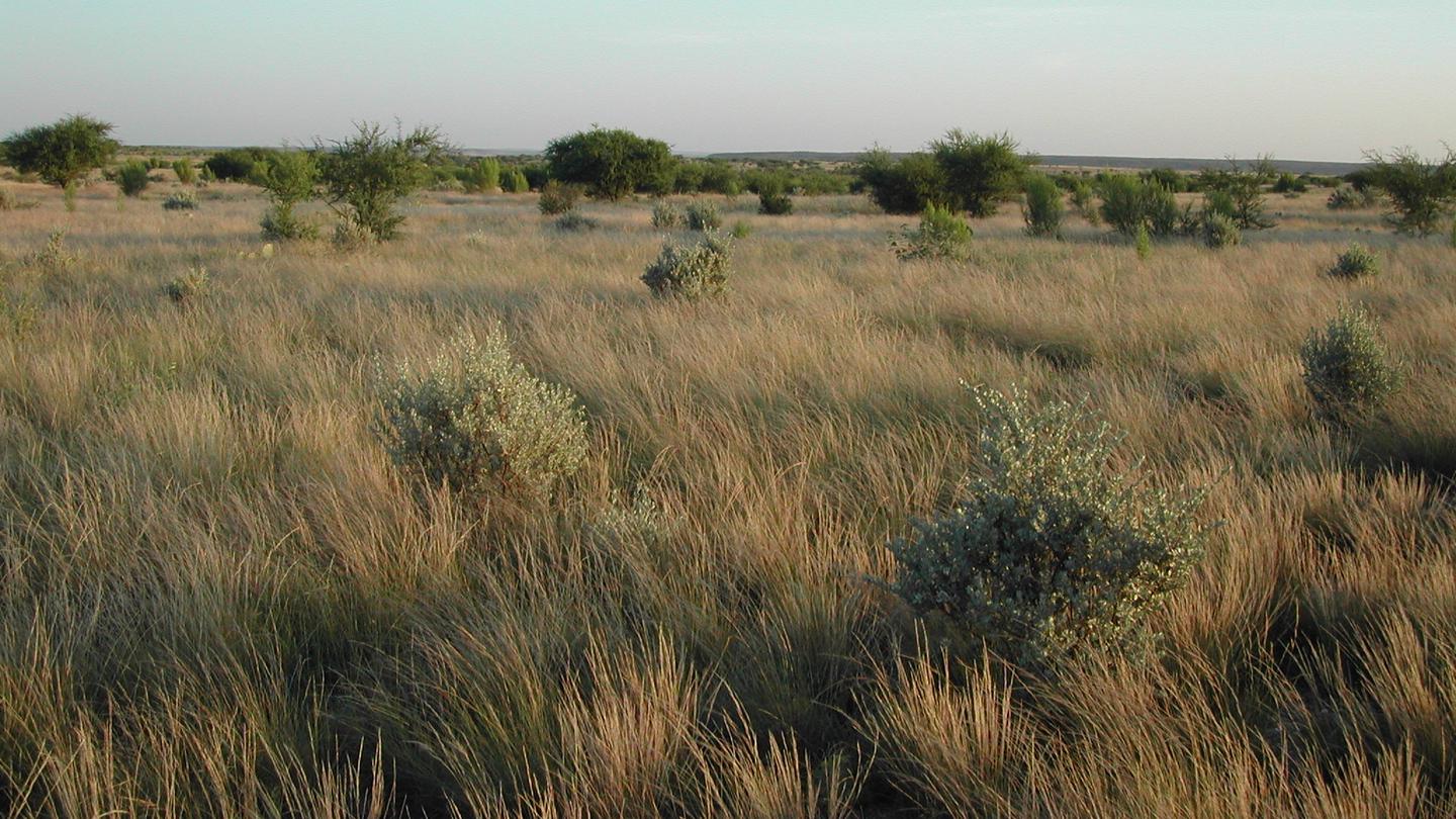 San Pedro Group Campground photo