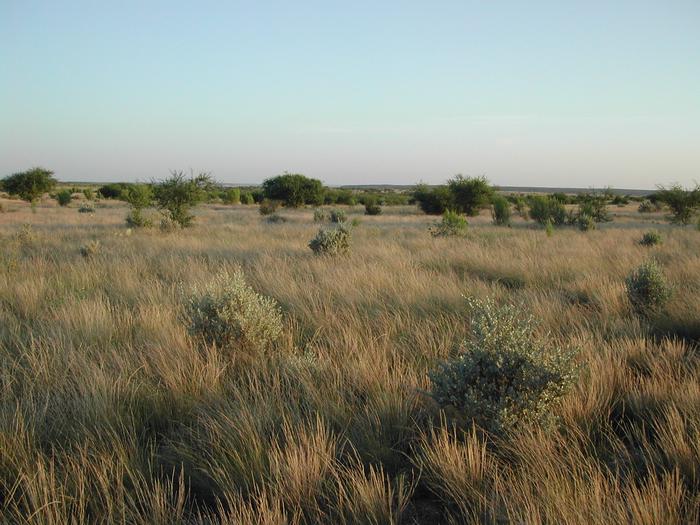 San Pedro Group Campground photo 2