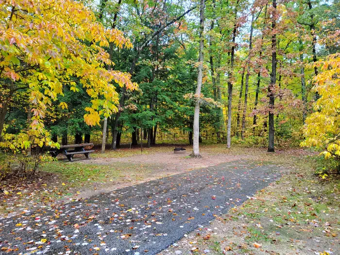 SAND LAKE CAMPGROUND photo 2
