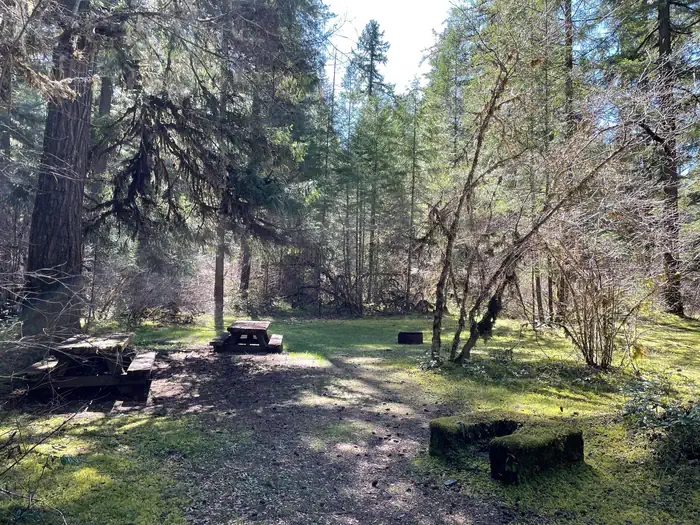 Sand Prairie Campground photo 2
