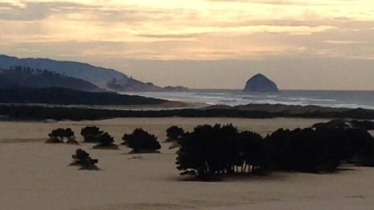 Sandbeach Campground - Sand Lake Recreation Area photo