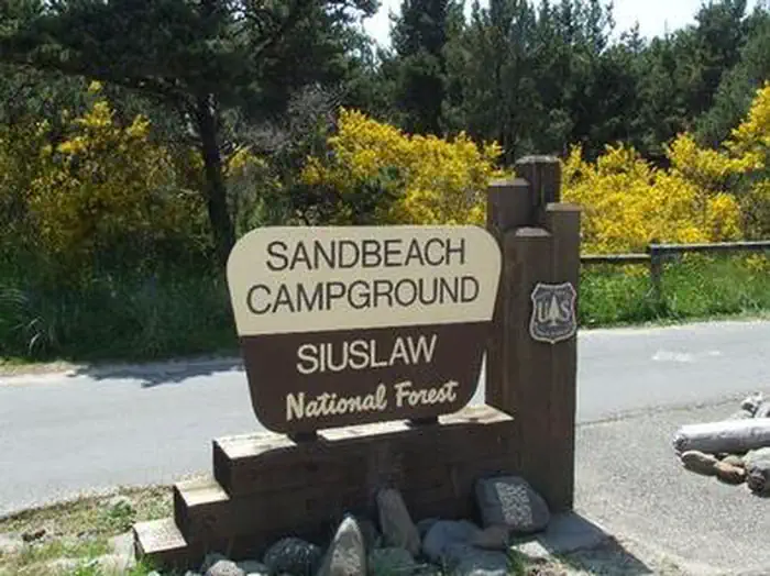 Sandbeach Campground - Sand Lake Recreation Area photo 4