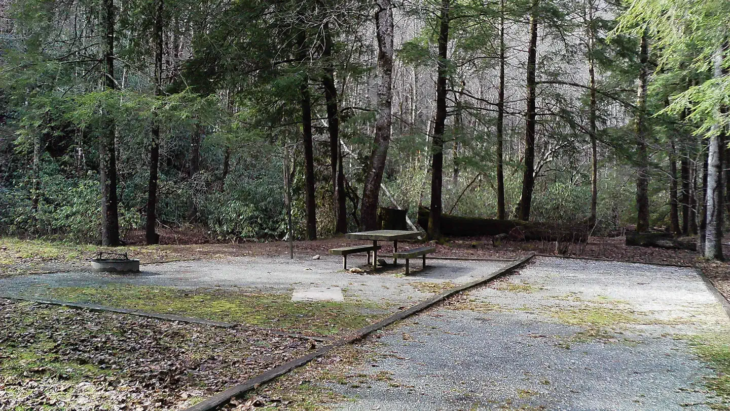 Sandy Bottoms Recreation Area Campground  (Clayton, GA) photo 3