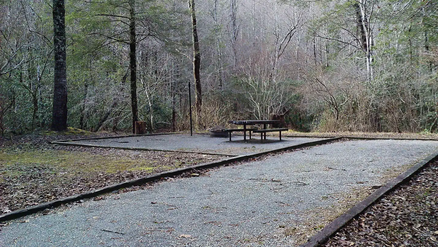 Sandy Bottoms Recreation Area Campground  (Clayton, GA) photo 4