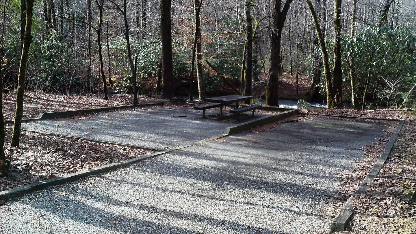 Sandy Bottoms Recreation Area Campground  (Clayton, GA) photo 5