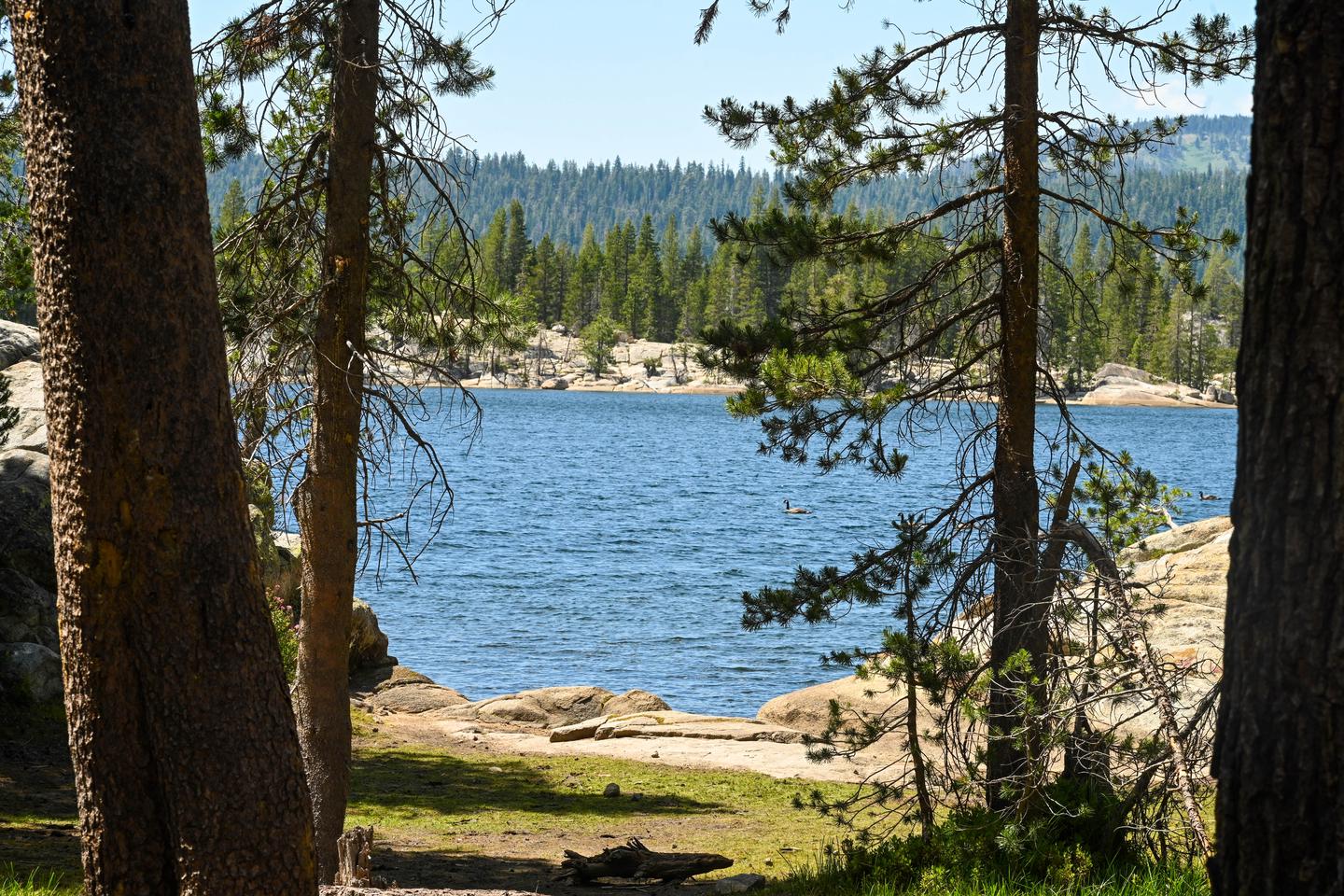 Sandy Flat - Utica Reservoir (Stanislaus NF) photo 2