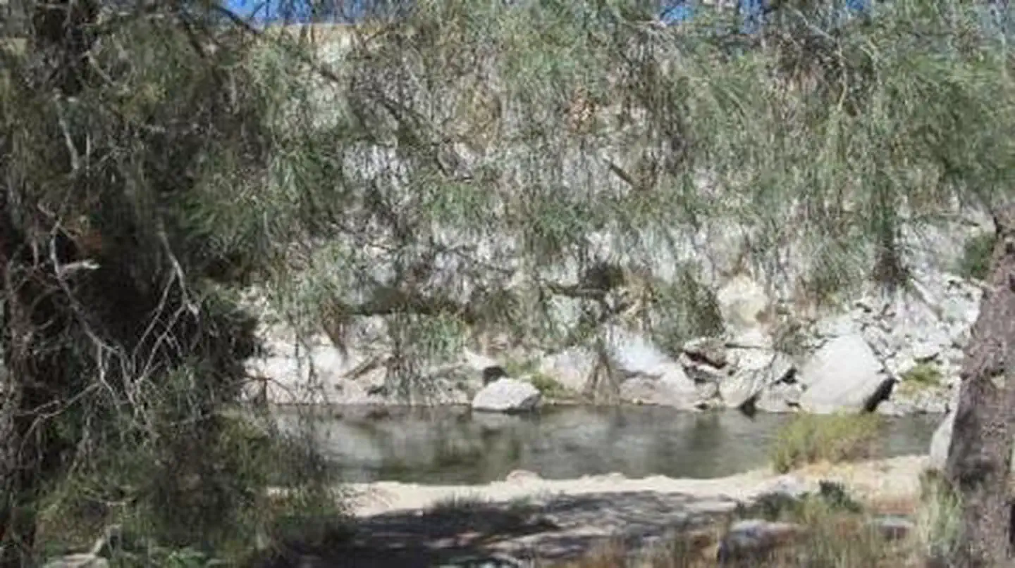 SANDY FLAT photo 2