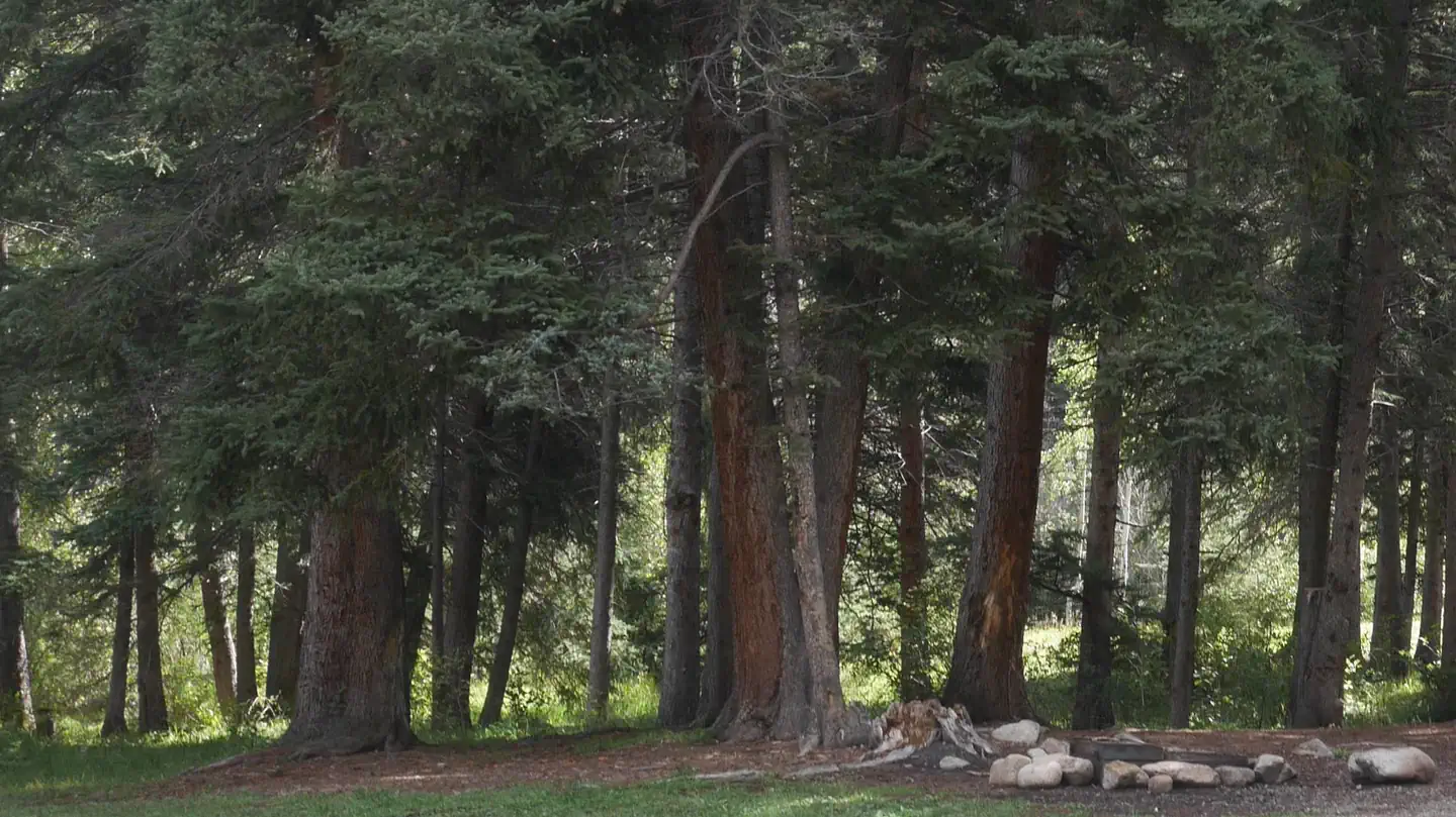 SANTA BARBARA CAMPGROUND photo