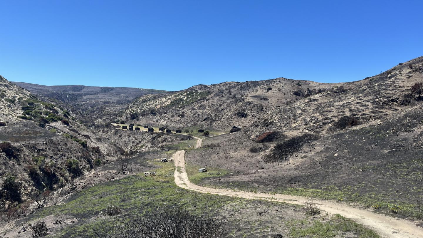 SANTA ROSA ISLAND photo