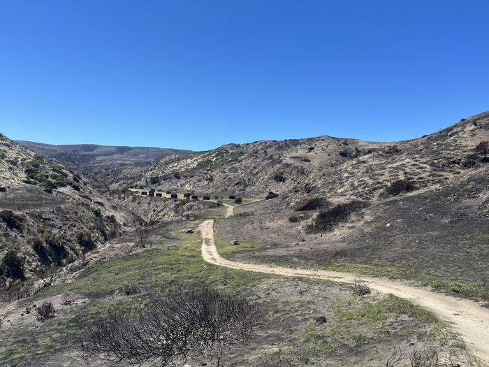 SANTA ROSA ISLAND photo 2