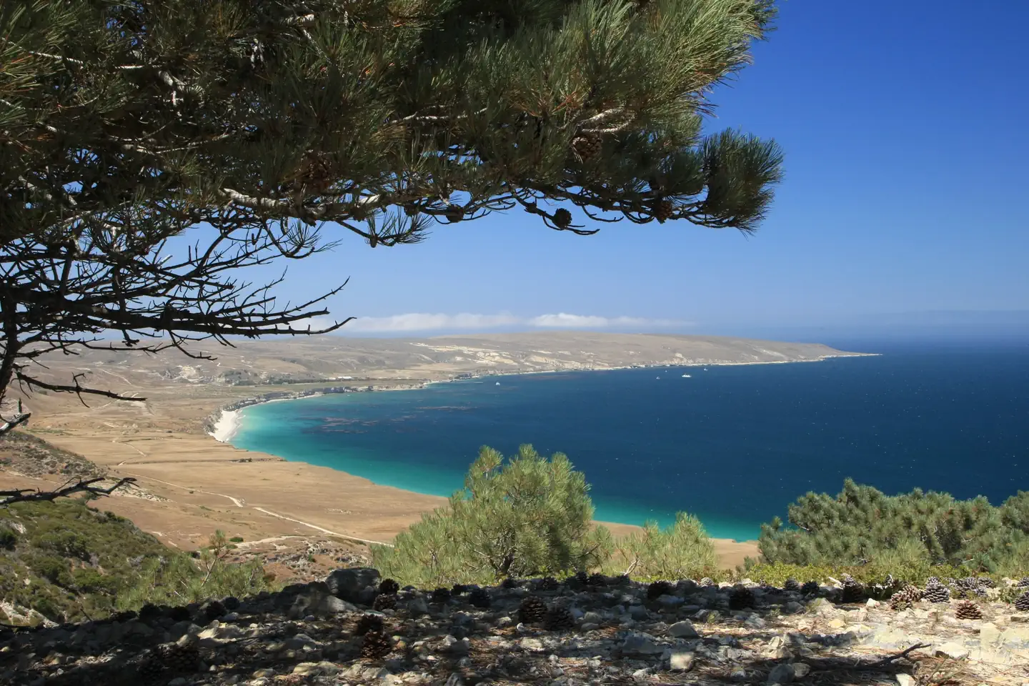 SANTA ROSA ISLAND photo 3