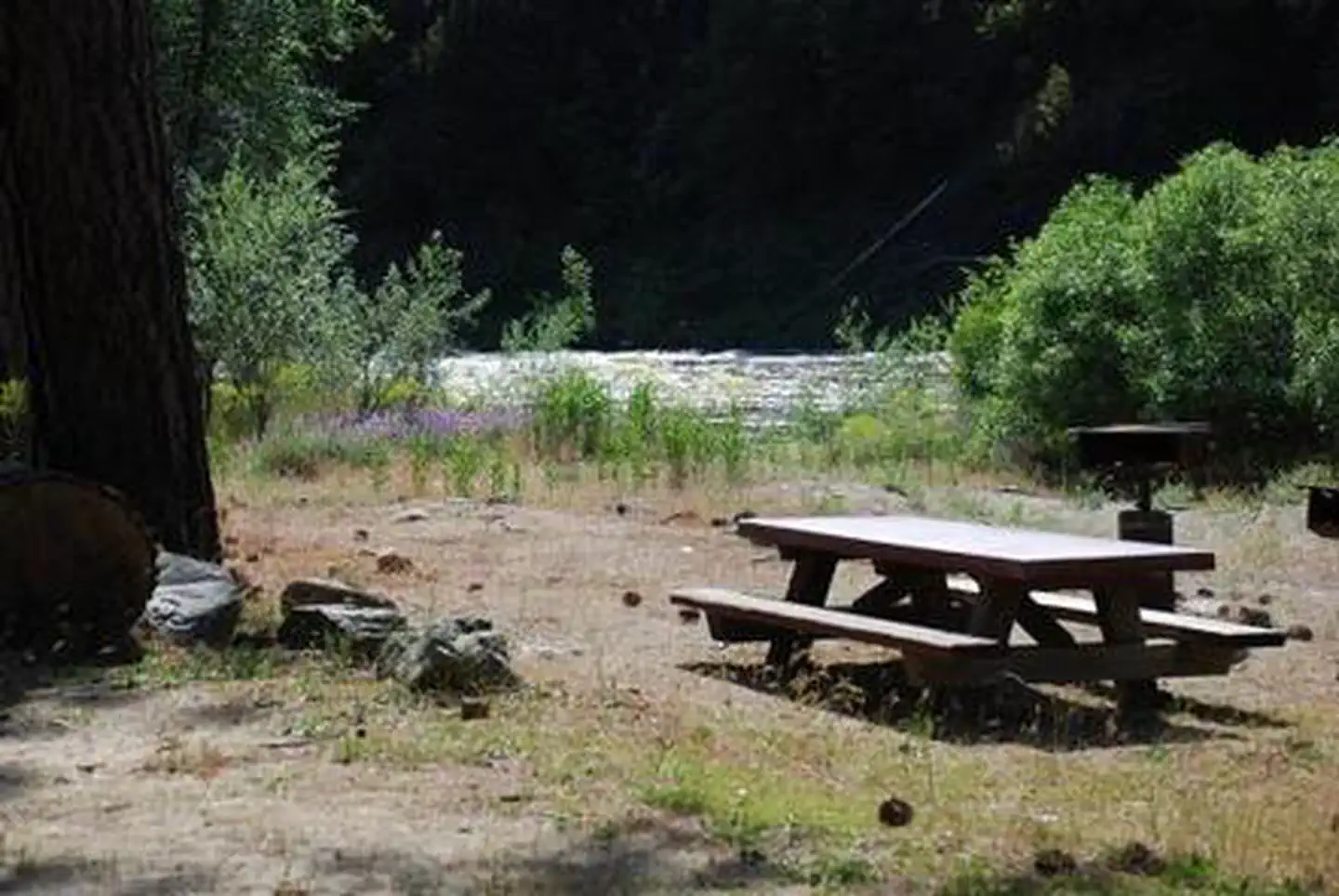 SARAH TOTTEN CAMPGROUND photo 5