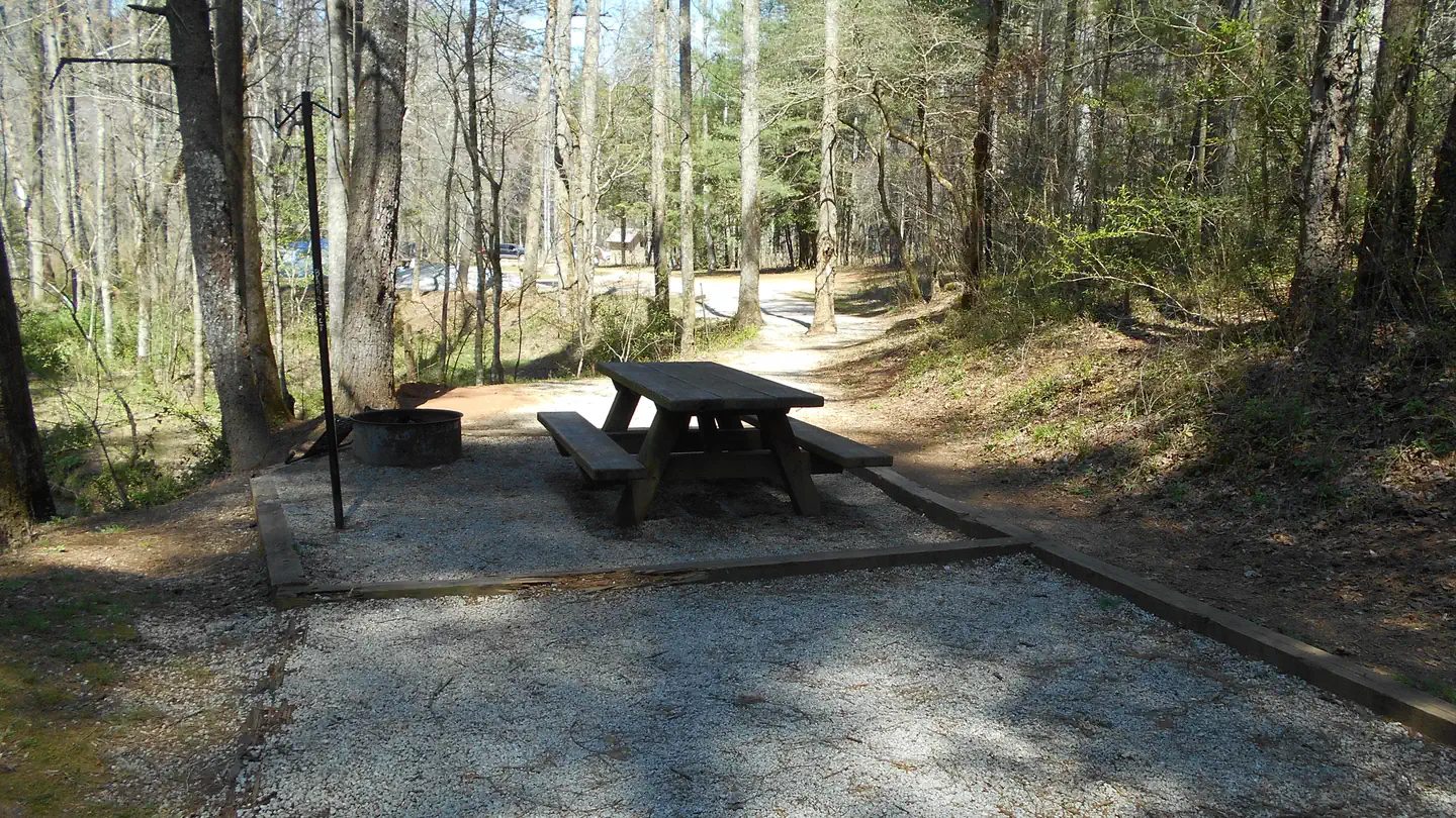 Sarah's Creek Campground  (Clayton, GA) photo
