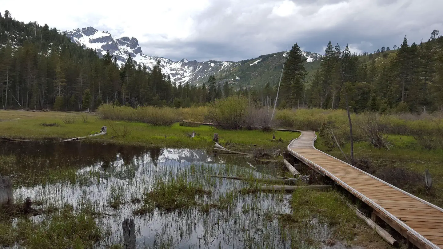 SARDINE LAKE photo 5