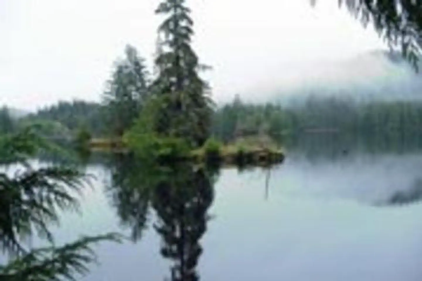 SARKAR LAKE CABIN photo