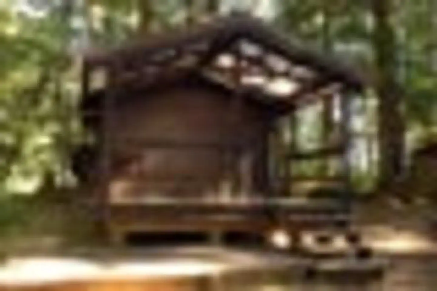 SARKAR LAKE CABIN photo 4
