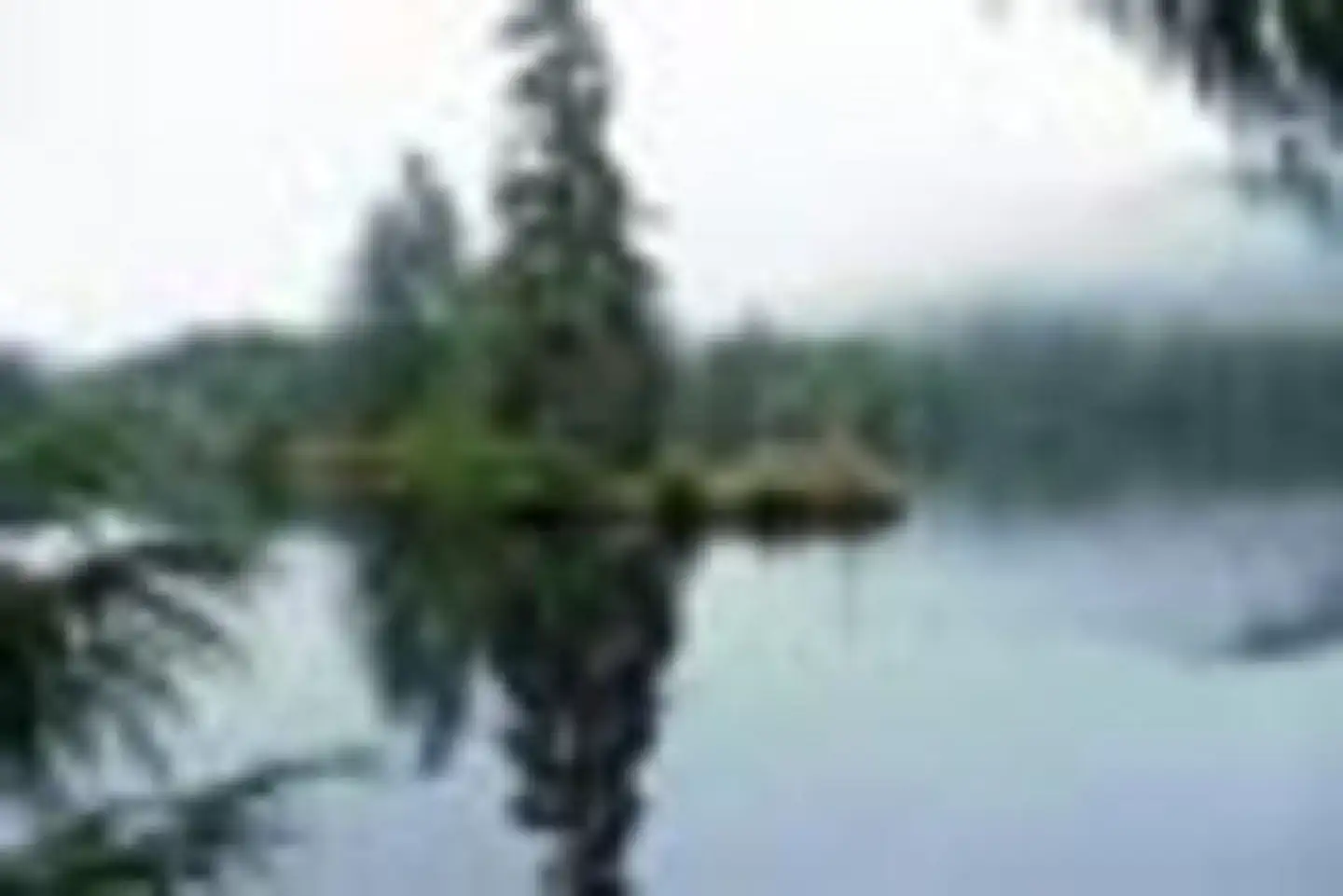 SARKAR LAKE CABIN photo 5
