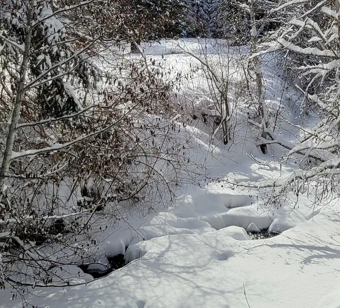 Savenac East Cottage (MT) photo 2