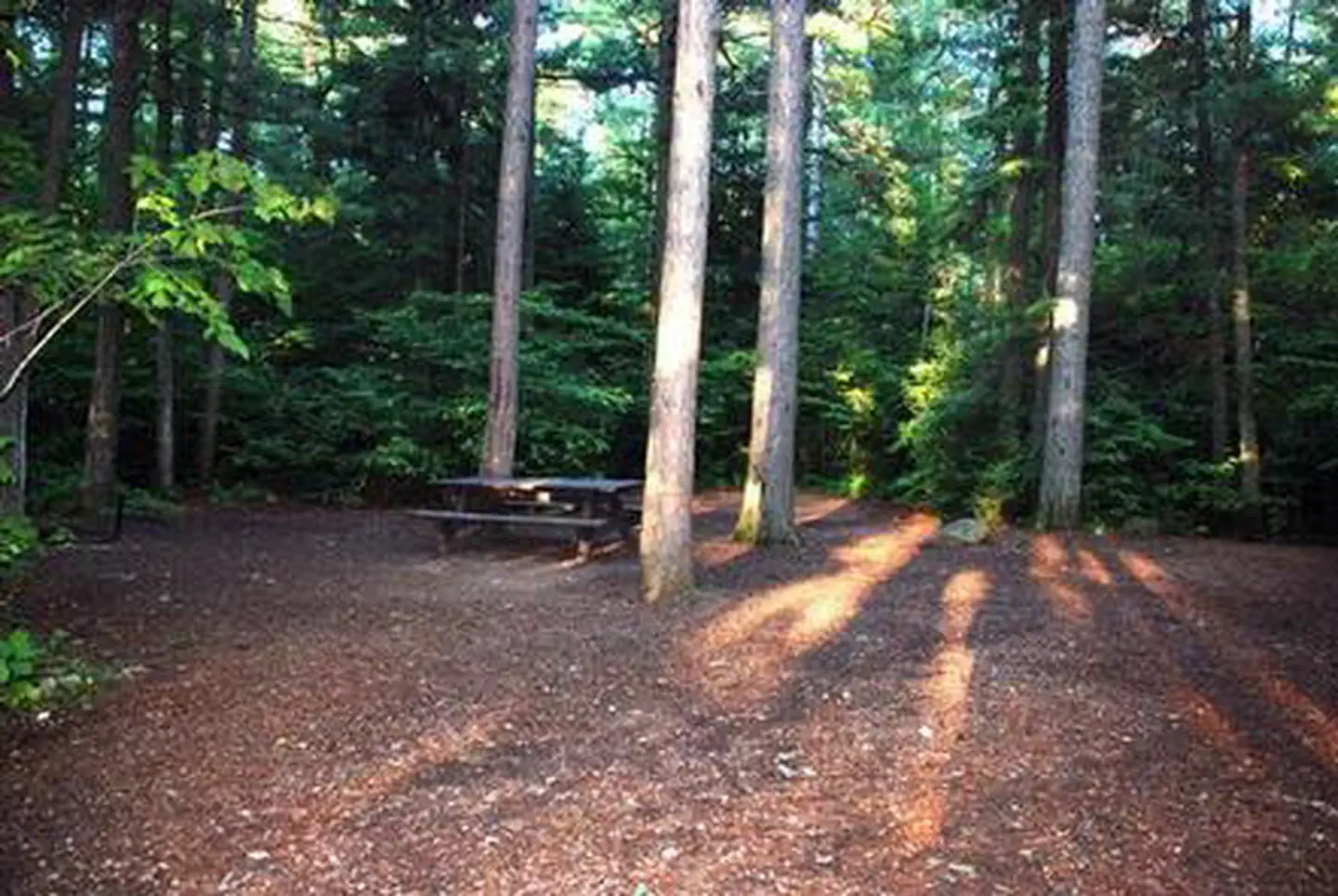 Sawbill Lake Campground - Superior National Forest photo 2