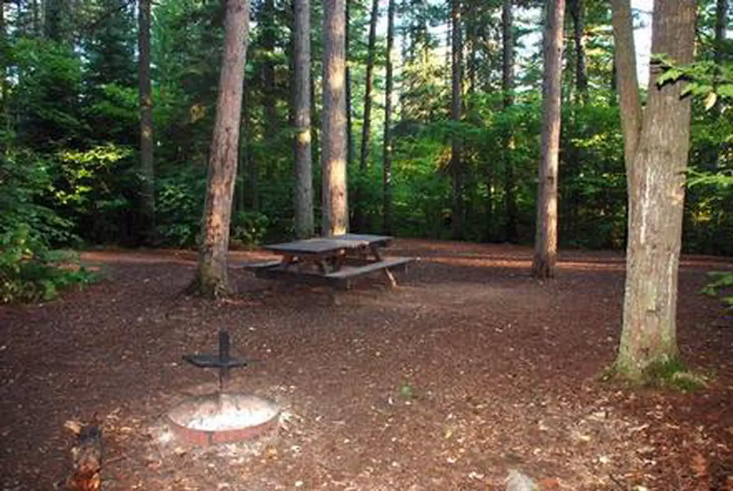 Sawbill Lake Campground - Superior National Forest photo 3