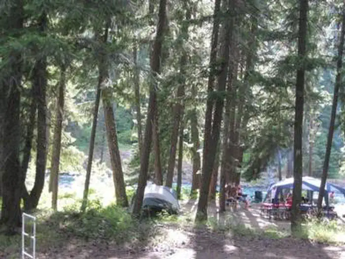 SAWMILL FLAT CAMPGROUND photo 4