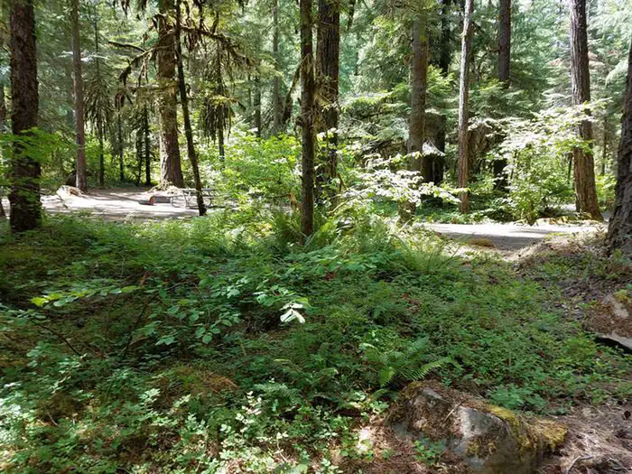 Scaredman Recreation Site photo 4