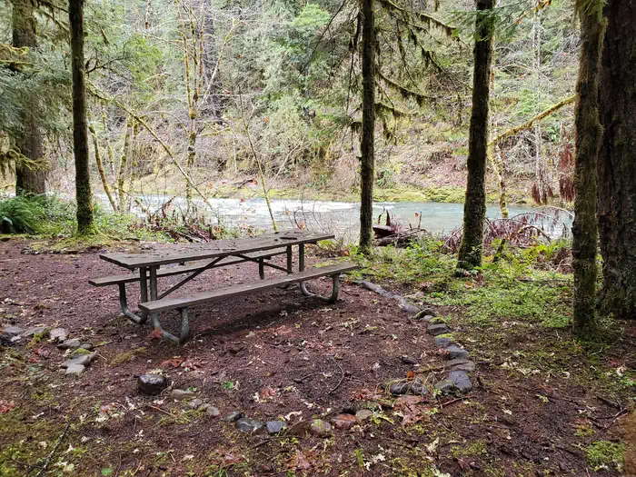 Scaredman Recreation Site photo 5