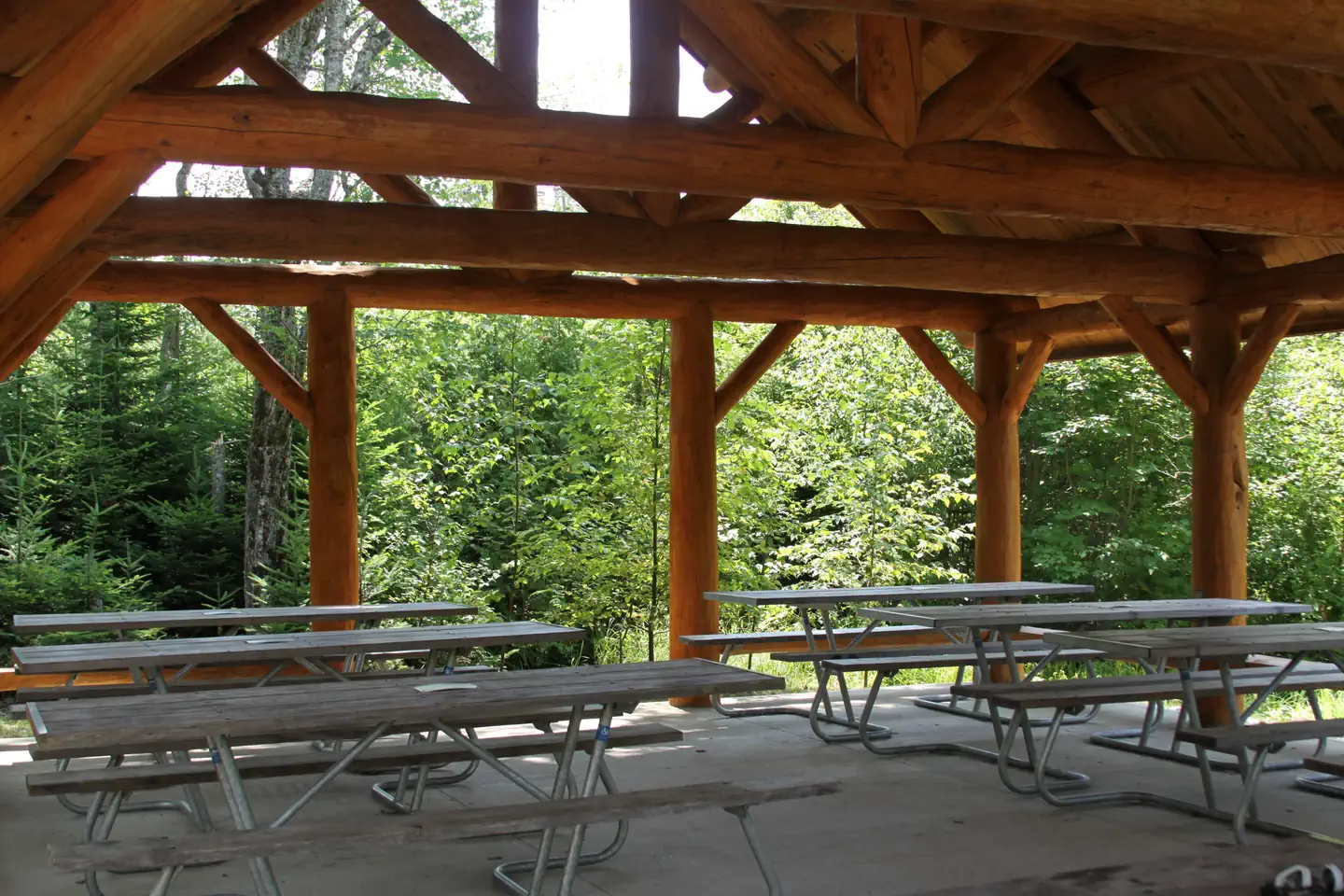 Schoodic Woods Campground photo 2