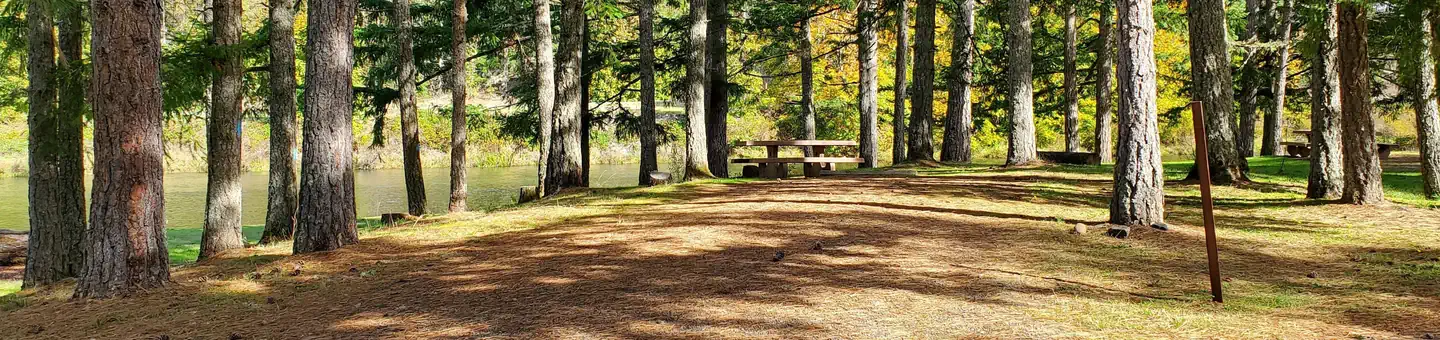 SCHWARZ PARK photo