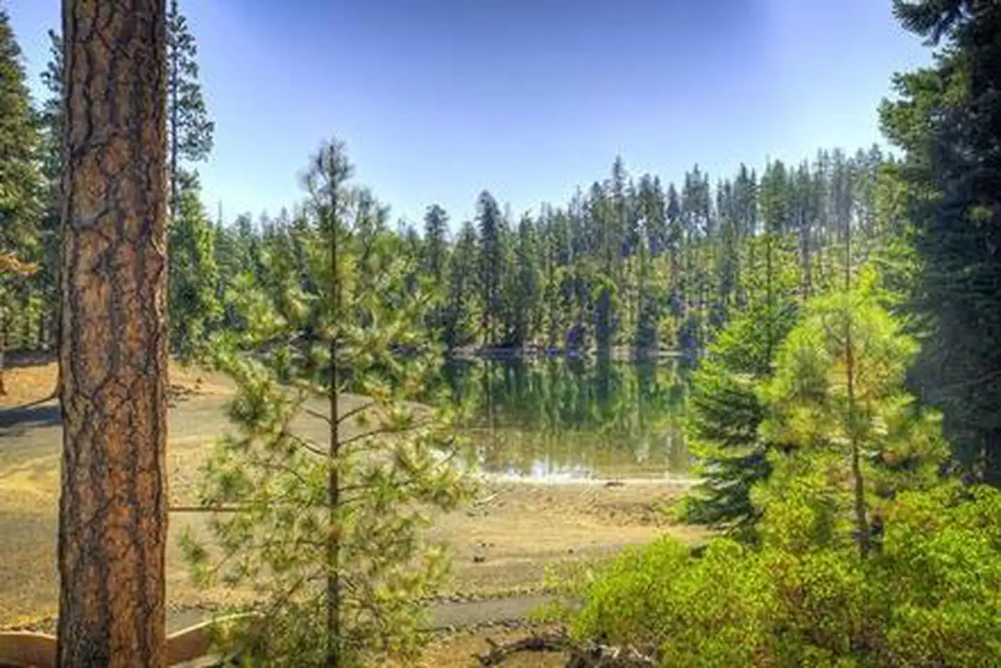Scout Lake photo 2