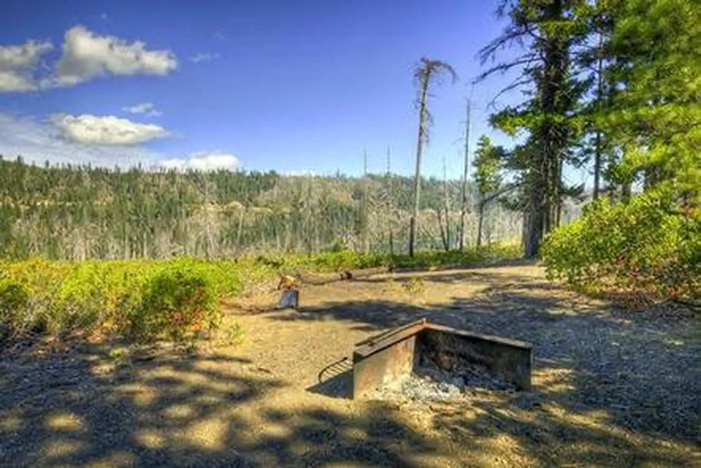 Scout Lake photo 3