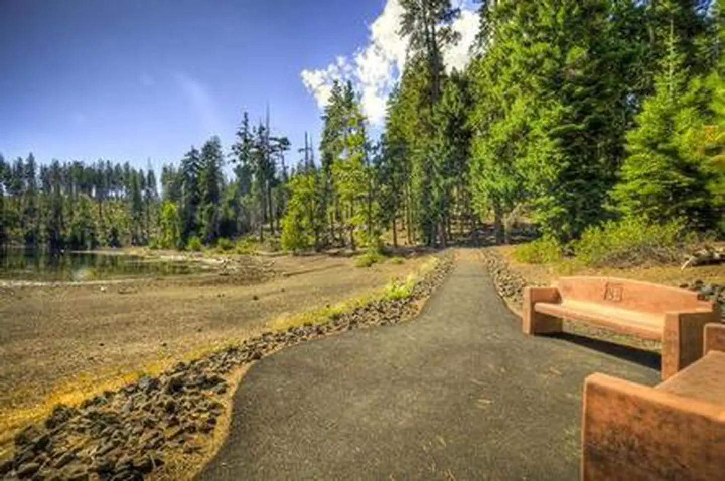 Scout Lake photo 4