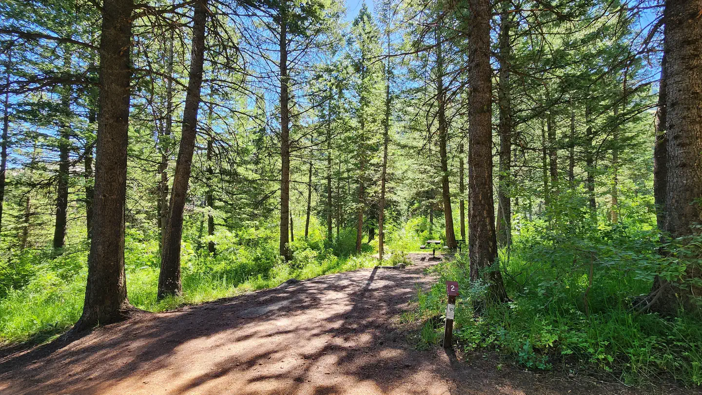 SCOUT MOUNTAIN CAMPGROUND photo 2