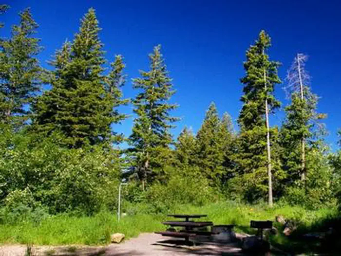 SCOUT MOUNTAIN CAMPGROUND photo 3