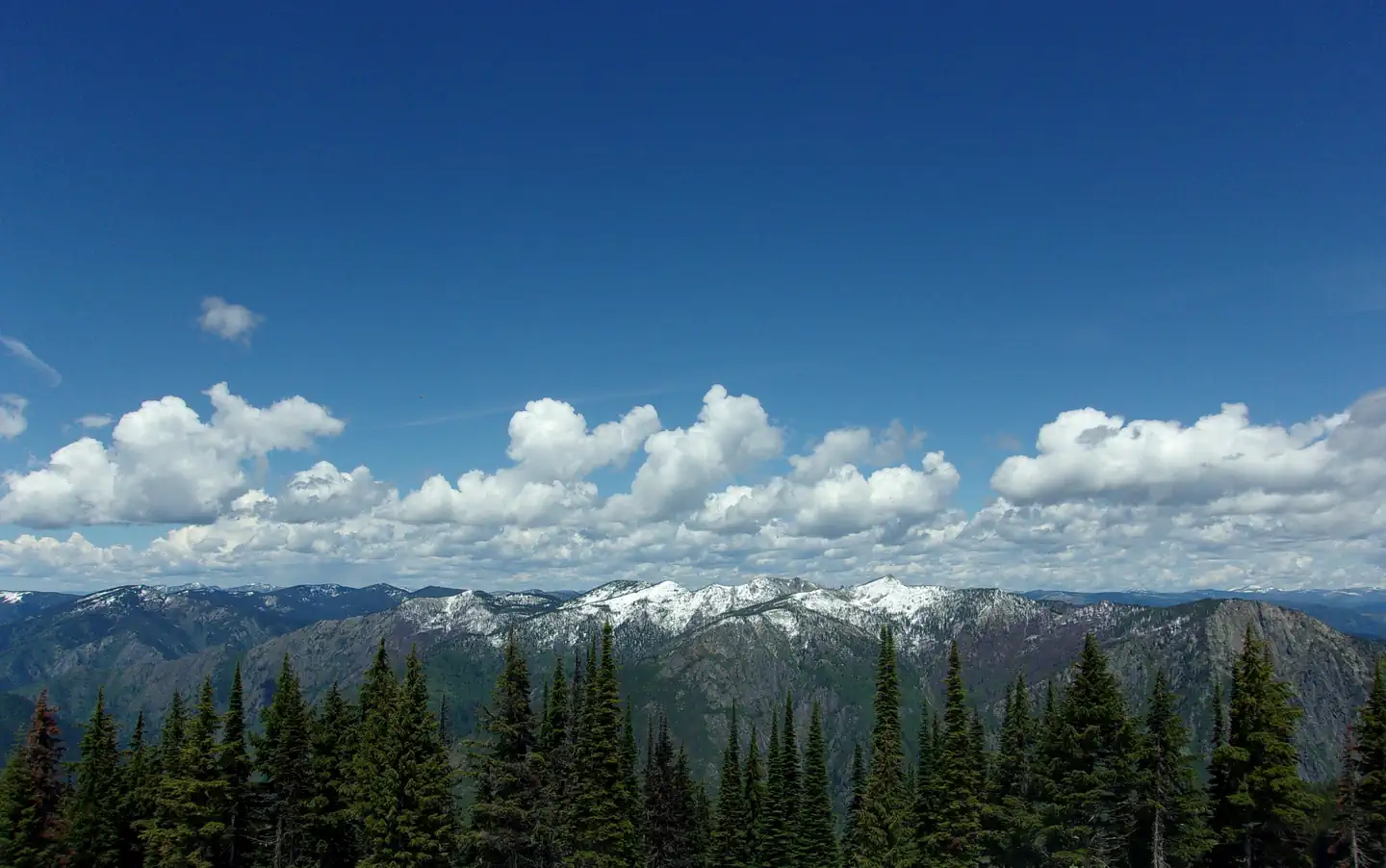 Scurvy Mountain Lookout photo 3