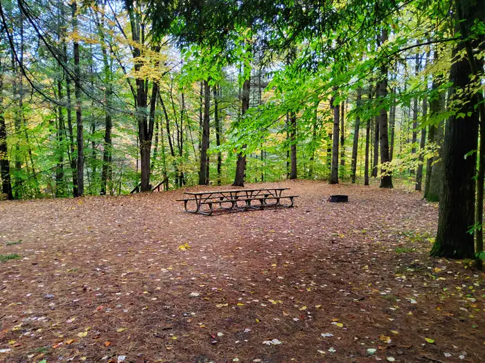 SEATON CREEK CAMPGROUND photo 3