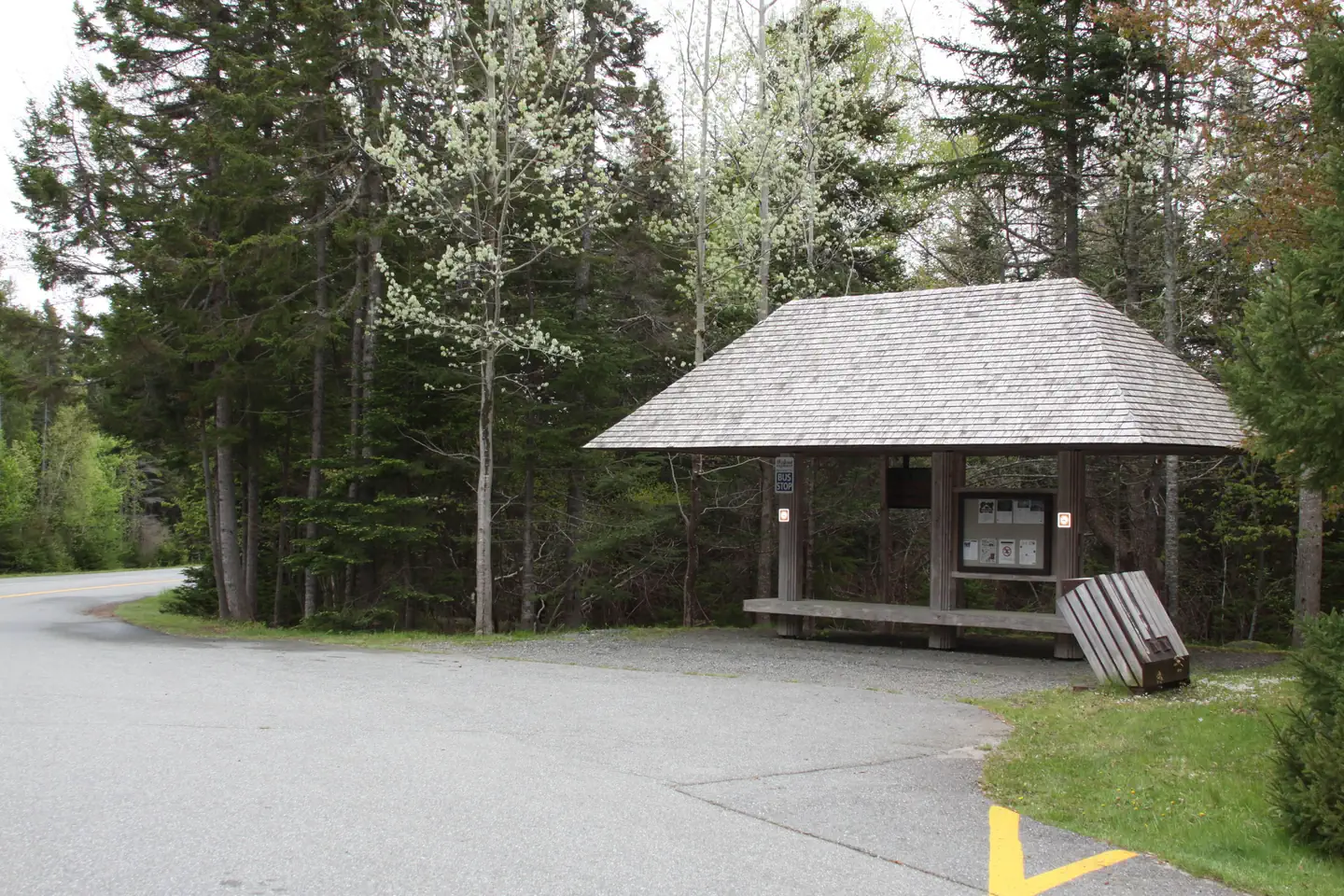 SEAWALL CAMPGROUND photo 3
