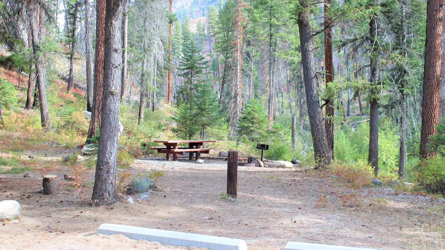Secesh Campground photo