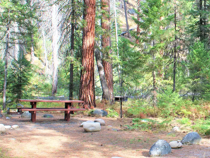 Secesh Campground photo 3