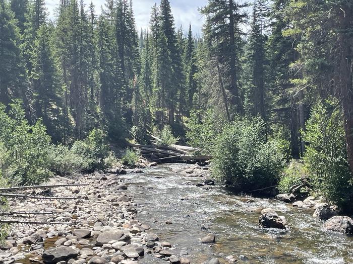 SEEDHOUSE CAMPGROUND photo 2