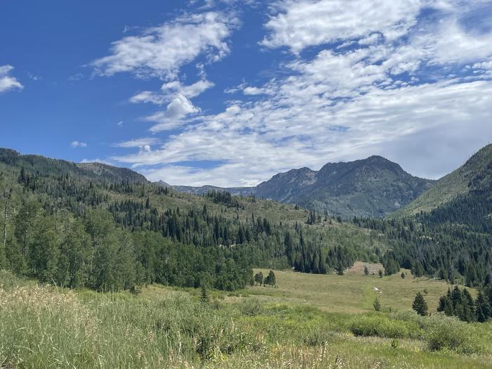 SEEDHOUSE CAMPGROUND photo 3