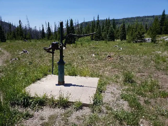 Seedhouse Group Site - Medicine-Bow Routt NF (CO) photo 3