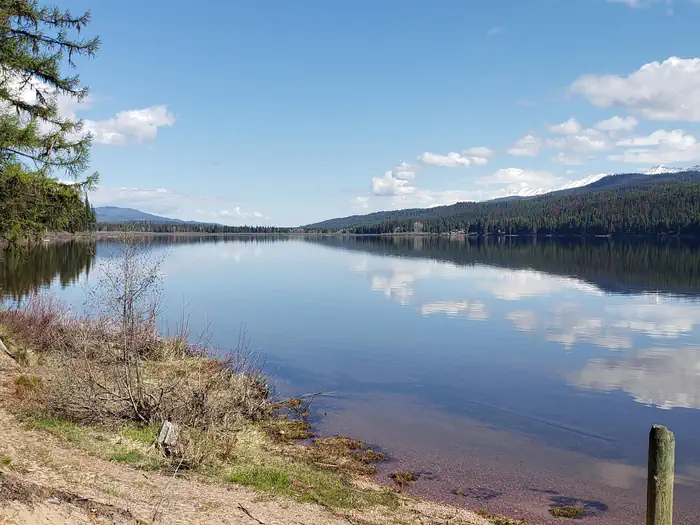 Seeley Lake Lolo Campground (MT) photo 2
