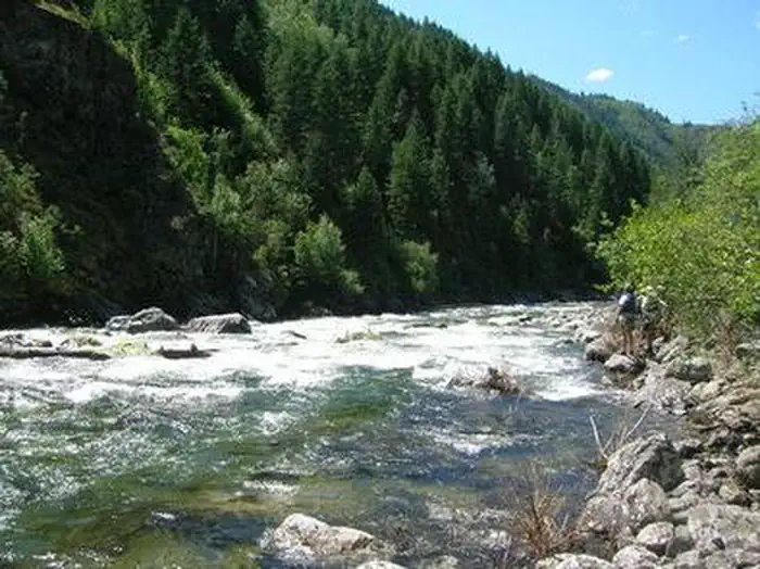 Selway River (4 Rivers) photo 5